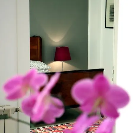 Casa Trucchi